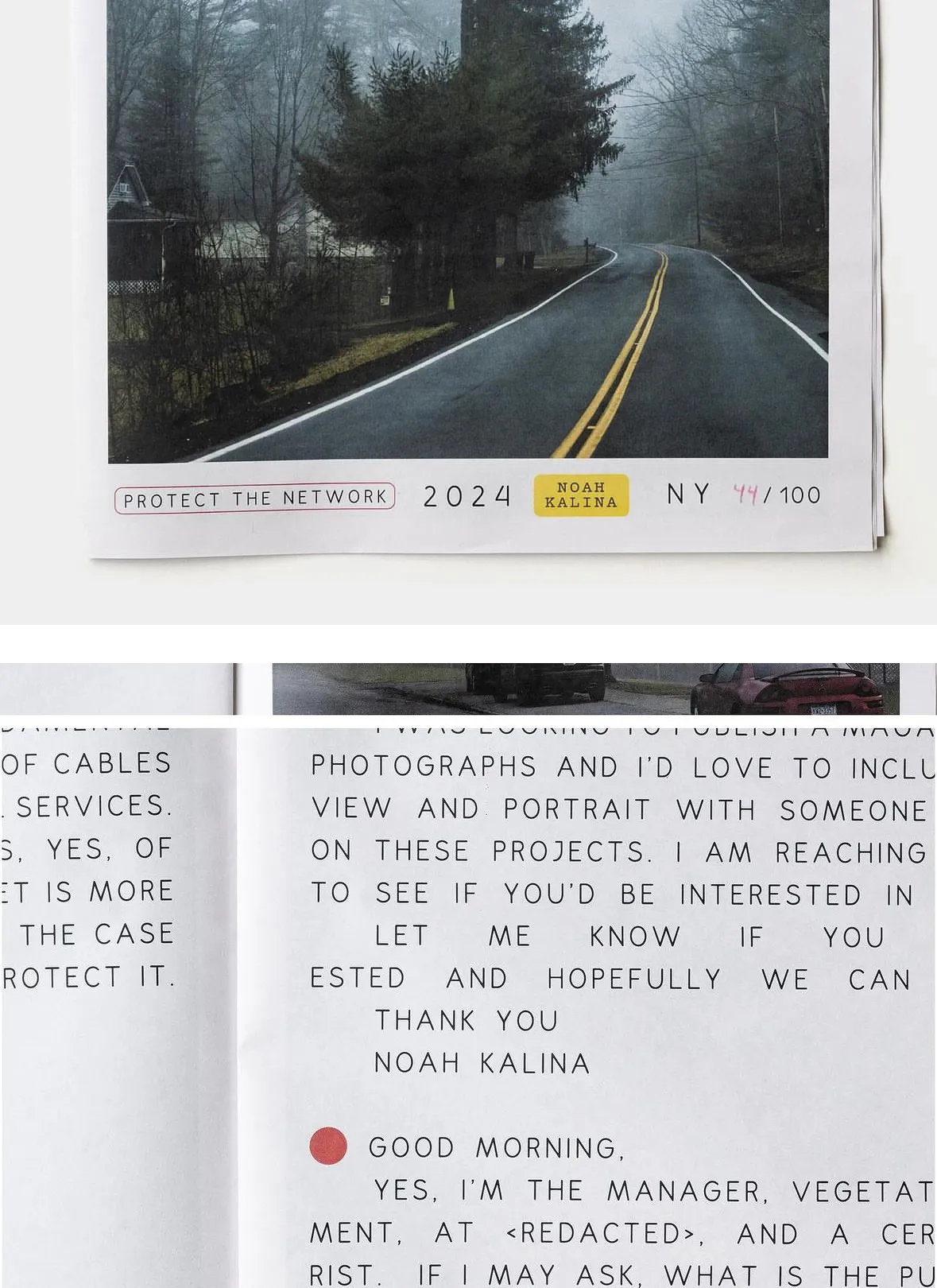 Noah Kalina Zine Detail